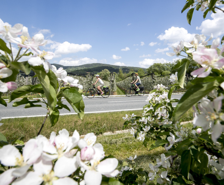 C_Salzkammergut Tourismus Katrin Kerschbaumer